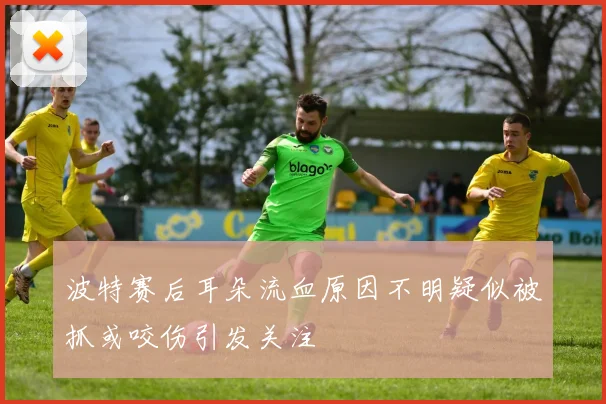 波特赛后耳朵流血原因不明疑似被抓或咬伤引发关注